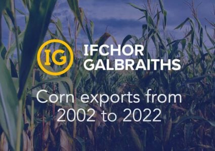 Brazil key player behind corn exports tripling over the past 20 years