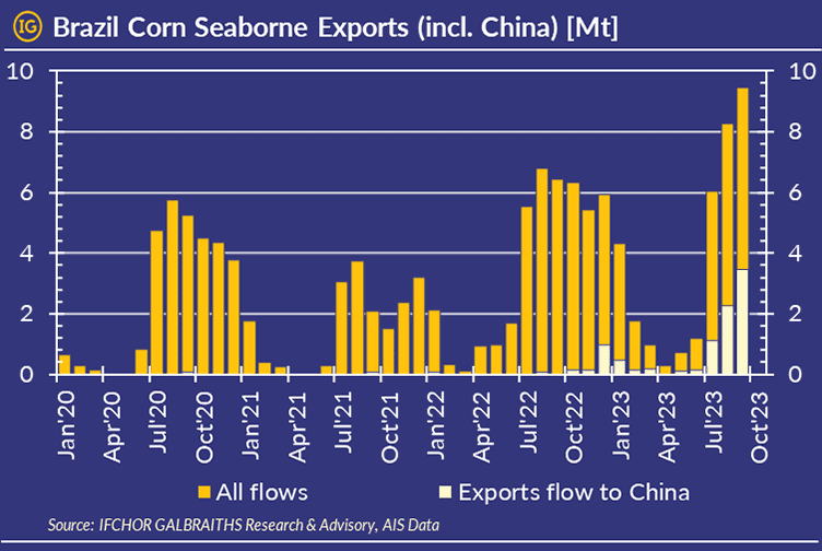 Brazil's corn exports hit a record