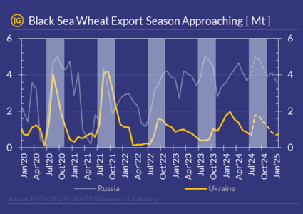 Black Sea wheat exports season is coming strong!