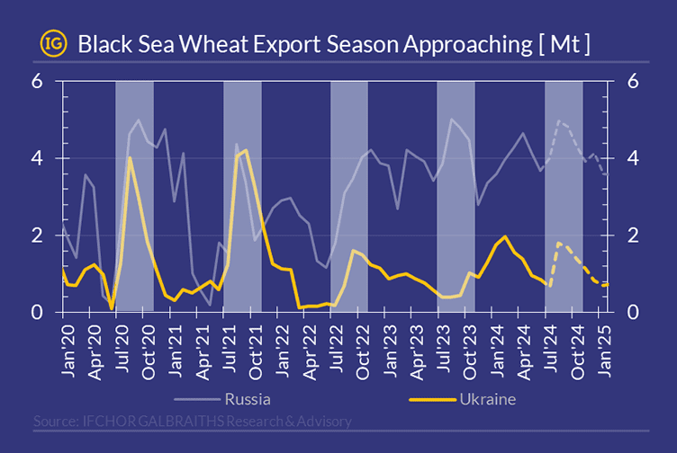 A chart displaying the evolution of wheat exports from Russia and Ukraine from January 2020 to January 2025, each country represented by a different line, all in IG colors.