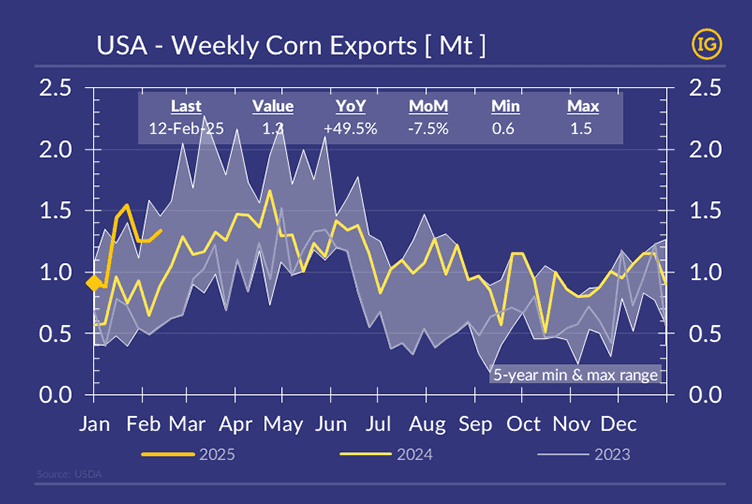 A chart titled "USA - Weekly Corn Exports [Mt]" in IFCHOR GALBRAITHS' brand colors shows weekly USA corn exports from January to December. It compares 2025 (yellow line), 2024 (gray), and 2023 (light gray) within a 5-year min-max range (shaded area). Key data for Feb 12, 2025: Exports: 1.3 Mt YoY: +49.5% MoM: -7.5% Min-Max range: 0.6–1.5 Mt The USDA-sourced chart highlights fluctuations in USA corn exports over time, with the IG logo in the top-right corner.