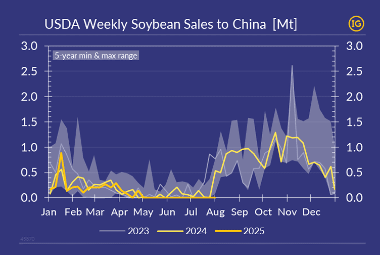 Chart in the brand colours of IFCHOR GALBRAITHS showing weekly USDA soybean sales to China from 2023 to 2025. The yellow line representing 2025 indicates that sales have remained close to zero since May, despite ongoing China trade discussions. The chart also displays the 5-year historical range to provide context on seasonal patterns in soybean sales.